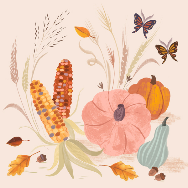 A watercolor illustration of fall grasses, decorative ears of corn and winter squash.