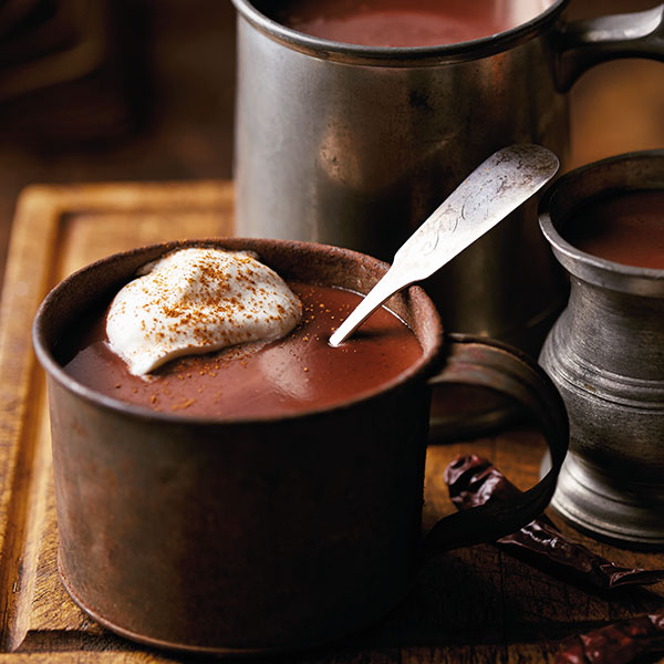 A mug filled with rich hot chocolate and a marshmallow dusted with cinnamon.