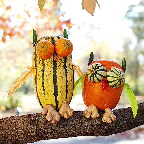Creative Pumpkin-Carving Ideas: Mowleficent Fowl