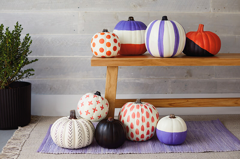 Painted pumpkins on a bench and on the floor