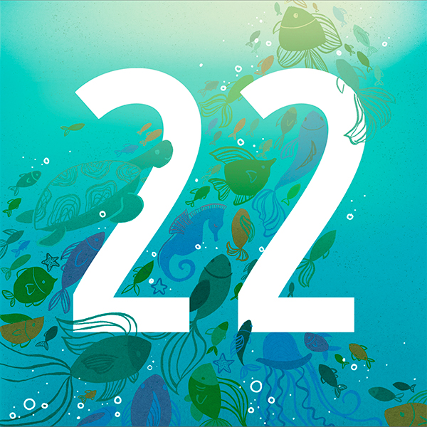 Number 22 with symbols for water[Anniversary Gifts by Year]