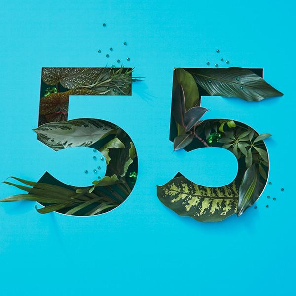 Number 55 with symbols for emeralds [Anniversary Gifts by Year]