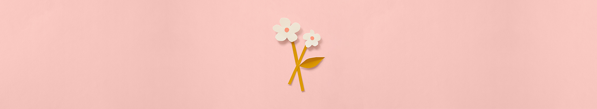 Paper cut white flowers on a light pink background